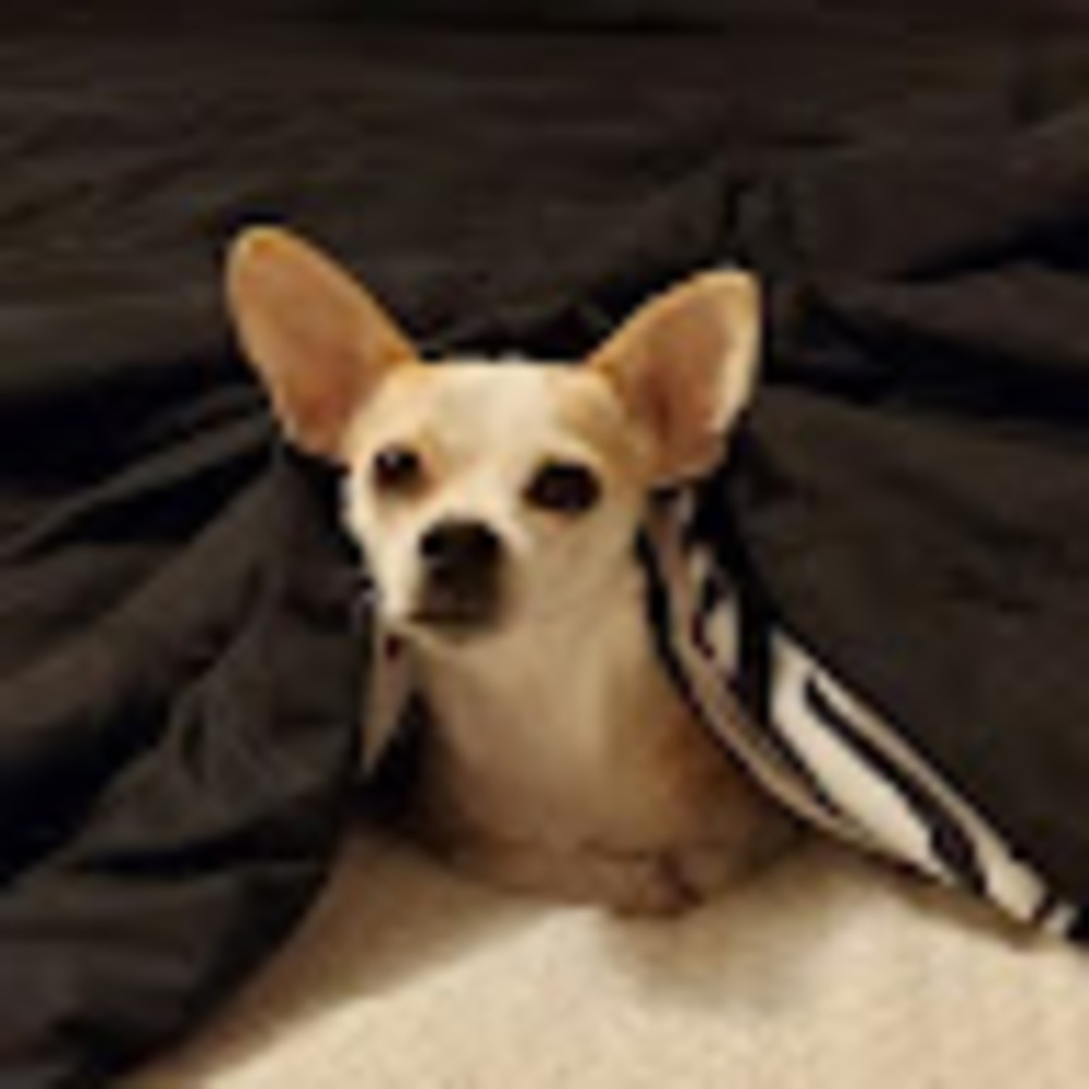 Meet your Posher, Christine